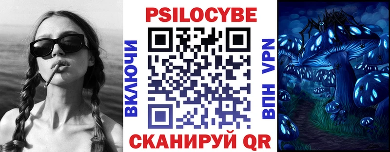 hydra   Рудня  Псилоцибиновые грибы GOLDEN TEACHER 
